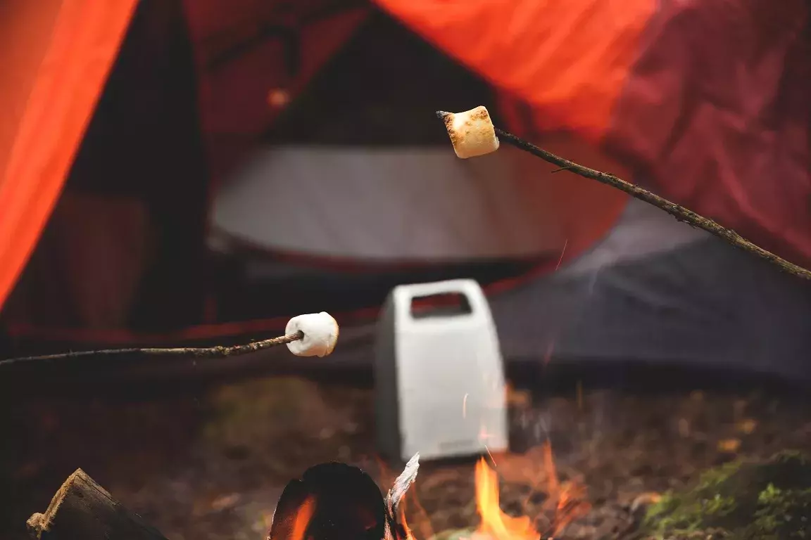 Kicker Bullfrog Bluetooth Speaker